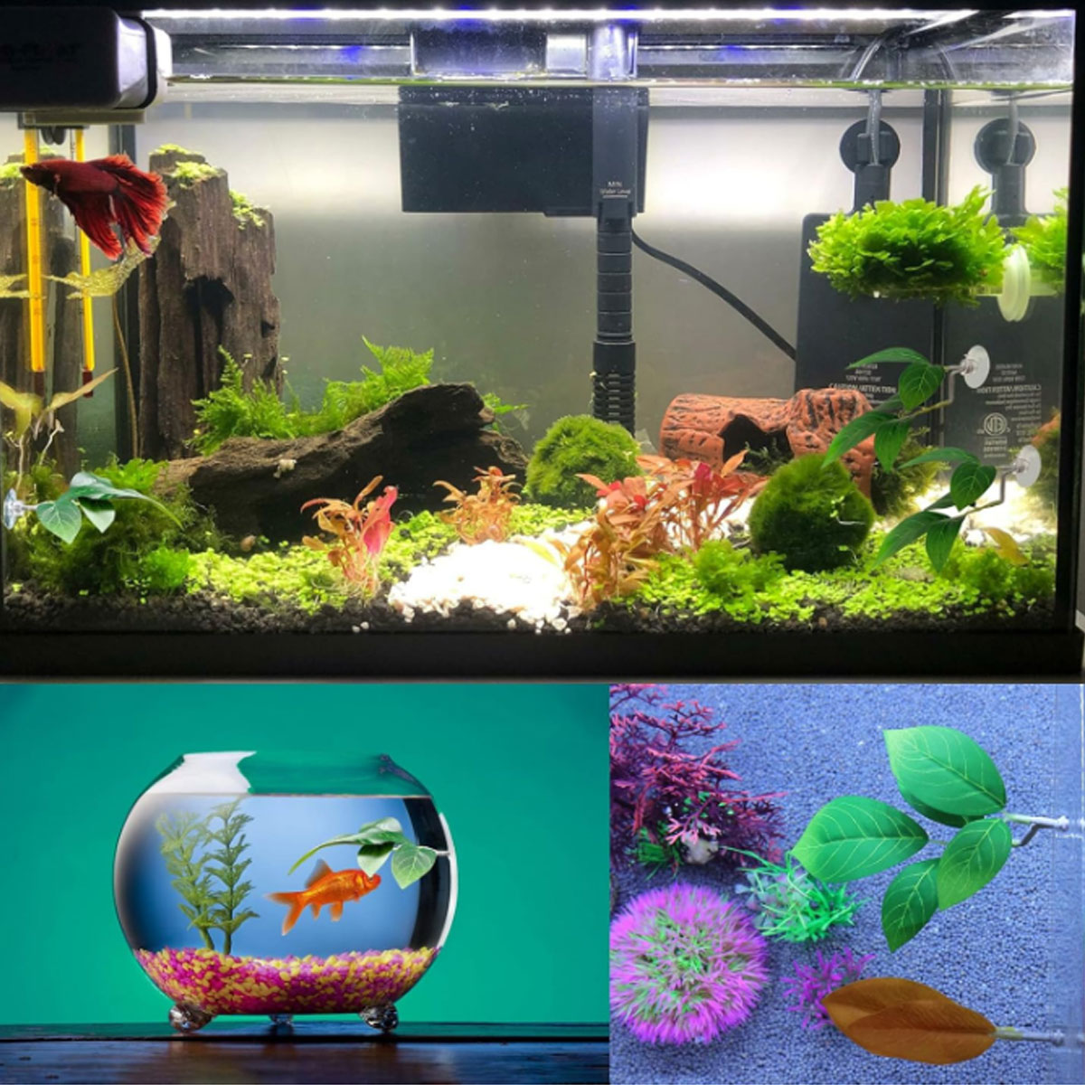 1 Buah Tempat Tidur Ikan Betta - Aquarium Fish Photography ulasan dan harga