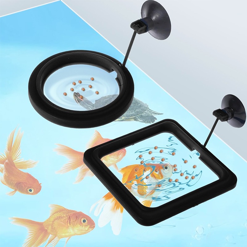 Stasiun Pemberian Makan Ikan A - Aquarium Fish Medicine ulasan dan harga