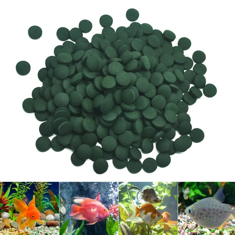 50-300 Buah Tablet Spirulina K - Aquarium Fish Holiday Food ulasan dan harga