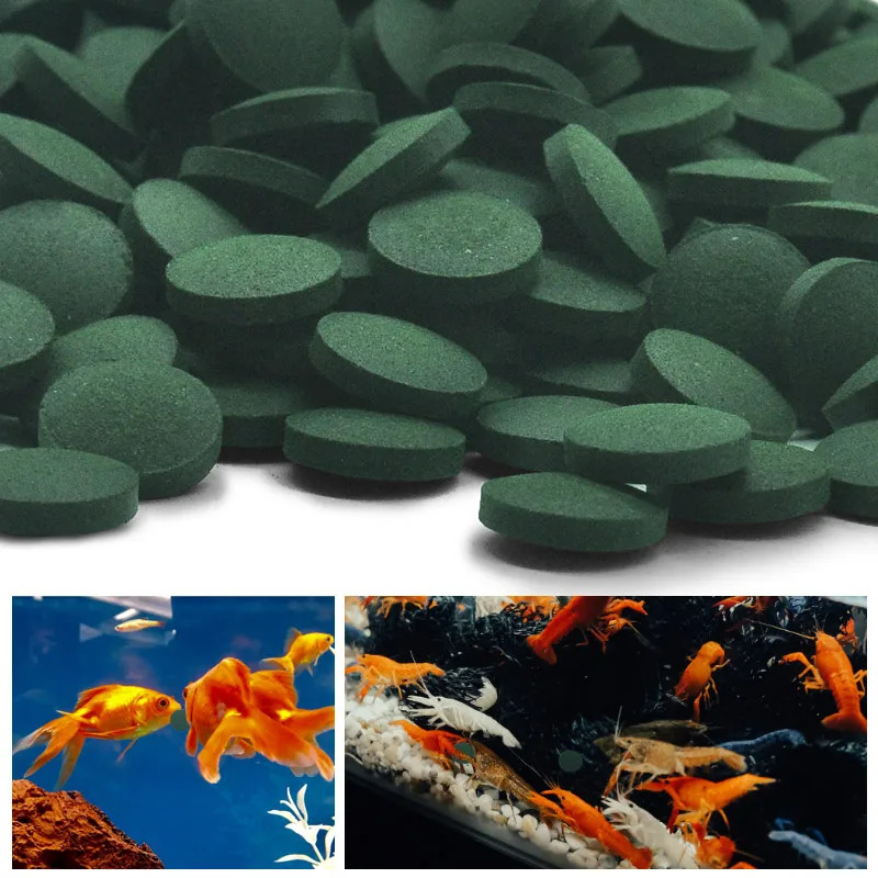 50-300 Buah Tablet Spirulina K - Aquarium Fish Holiday Food ulasan dan harga