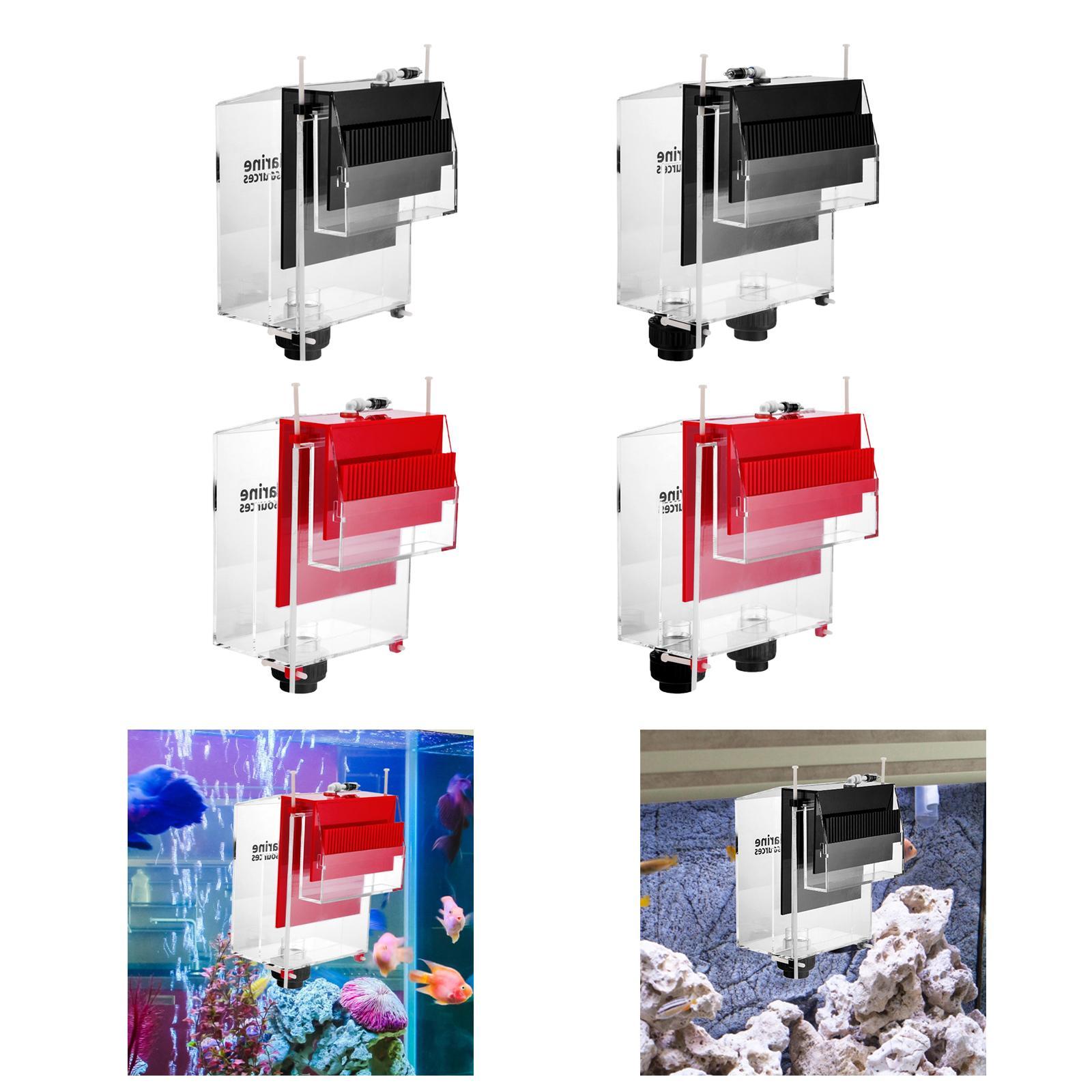Kotak Luapan untuk Akuarium Ta - Box Fish In Aquarium ulasan dan harga