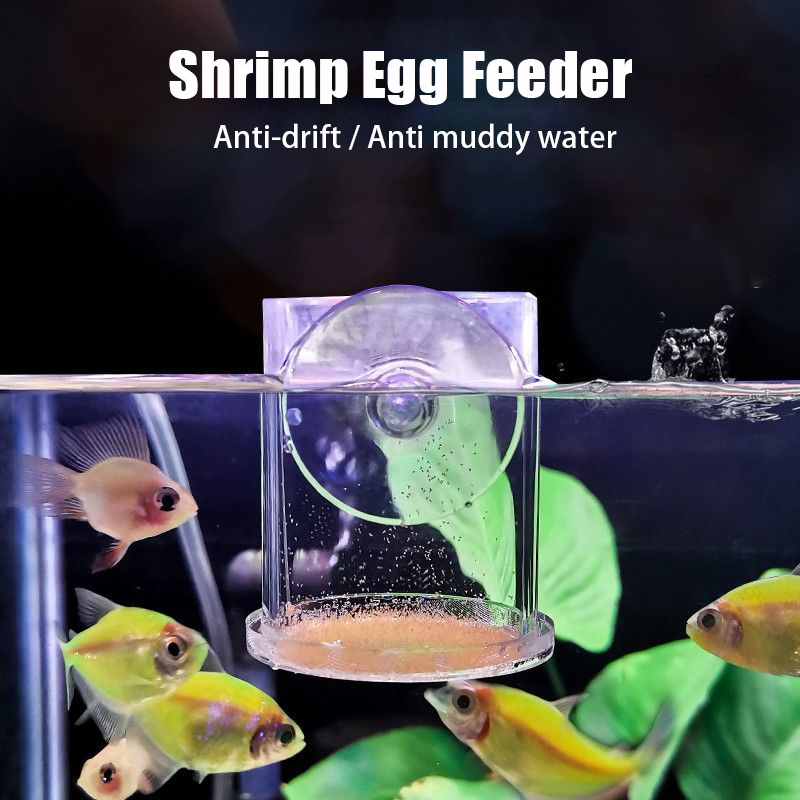 Cincin Cangkir Makan Ikan Akua - Aquarium Fish Holiday Food ulasan dan harga