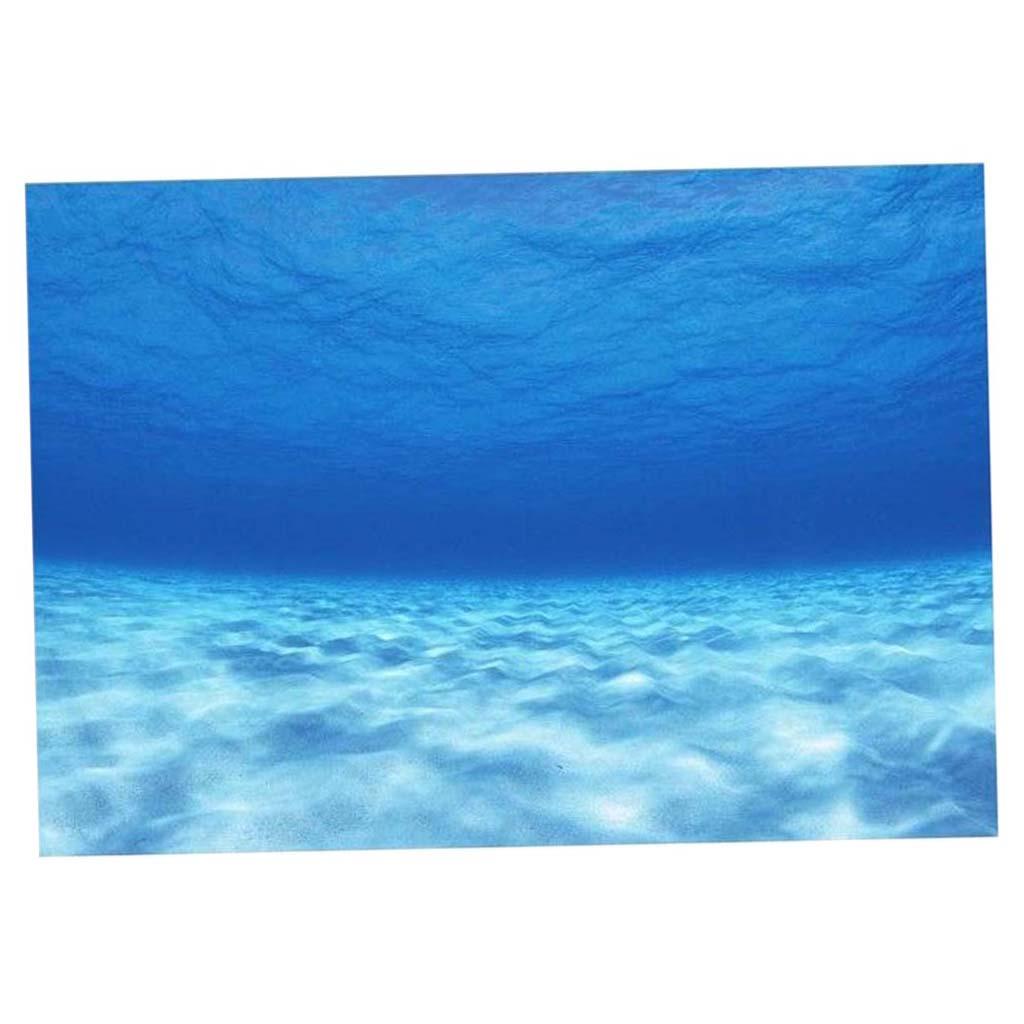 Poster Latar Belakang Akuarium - Aquarium Fish Of The World ulasan dan harga