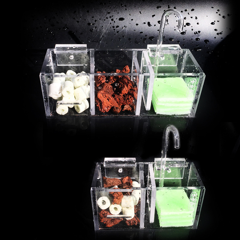 Akuarium Filter Eksternal Kota - Box Fish In Aquarium ulasan dan harga