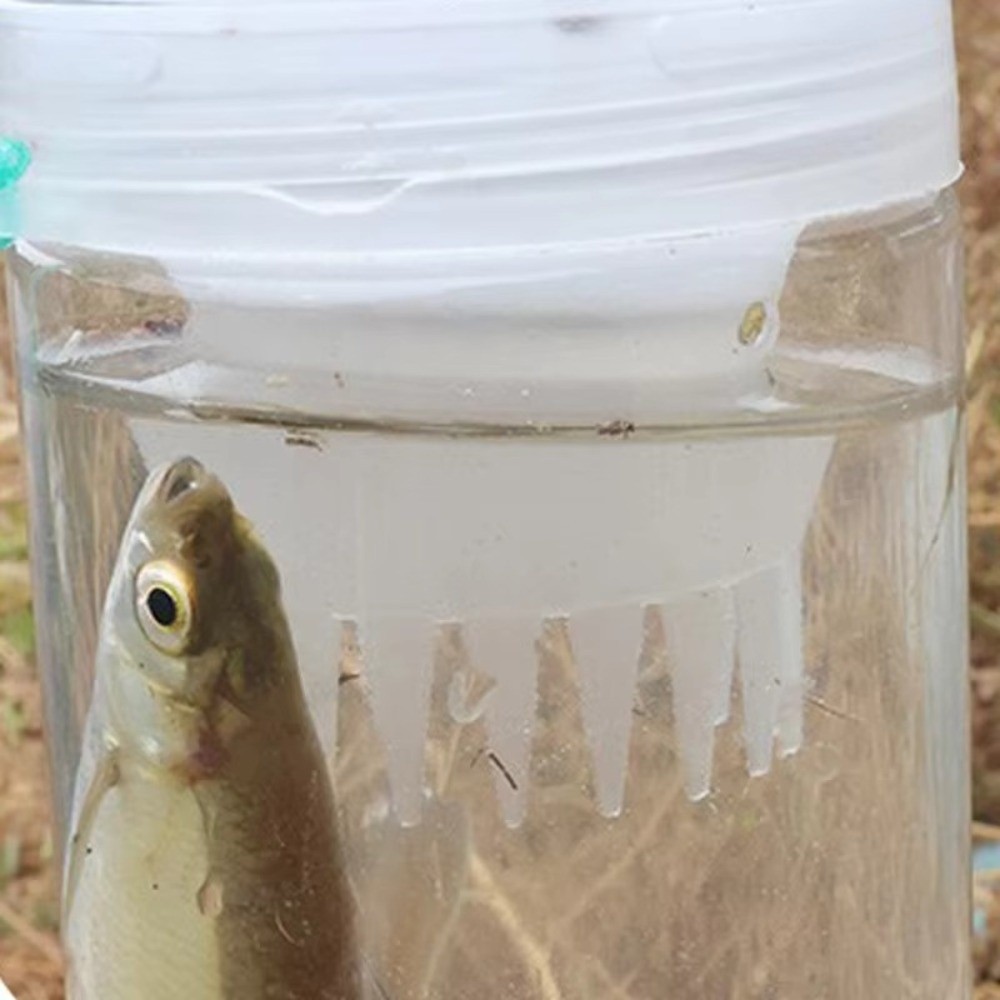 Botol Penangkap Ikan Tahan Lam - Aquarium Fish Trap ulasan dan harga