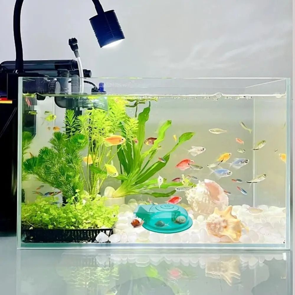Perangkap Siput Akuarium Air T - Aquarium Fish Trap ulasan dan harga