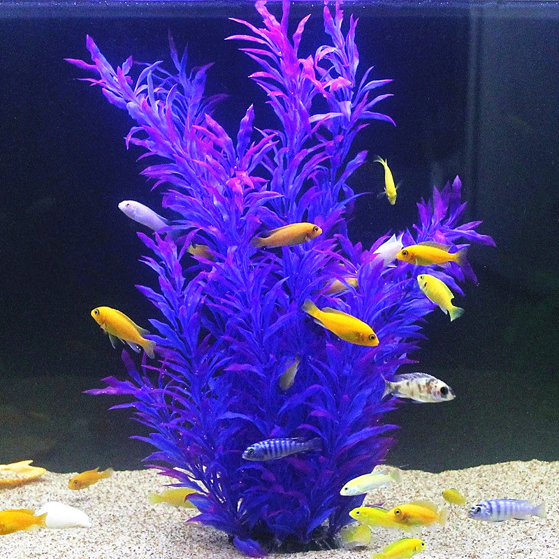 50CM Kolam Ikan Buatan Tanaman - Aquarium Fish To Buy ulasan dan harga