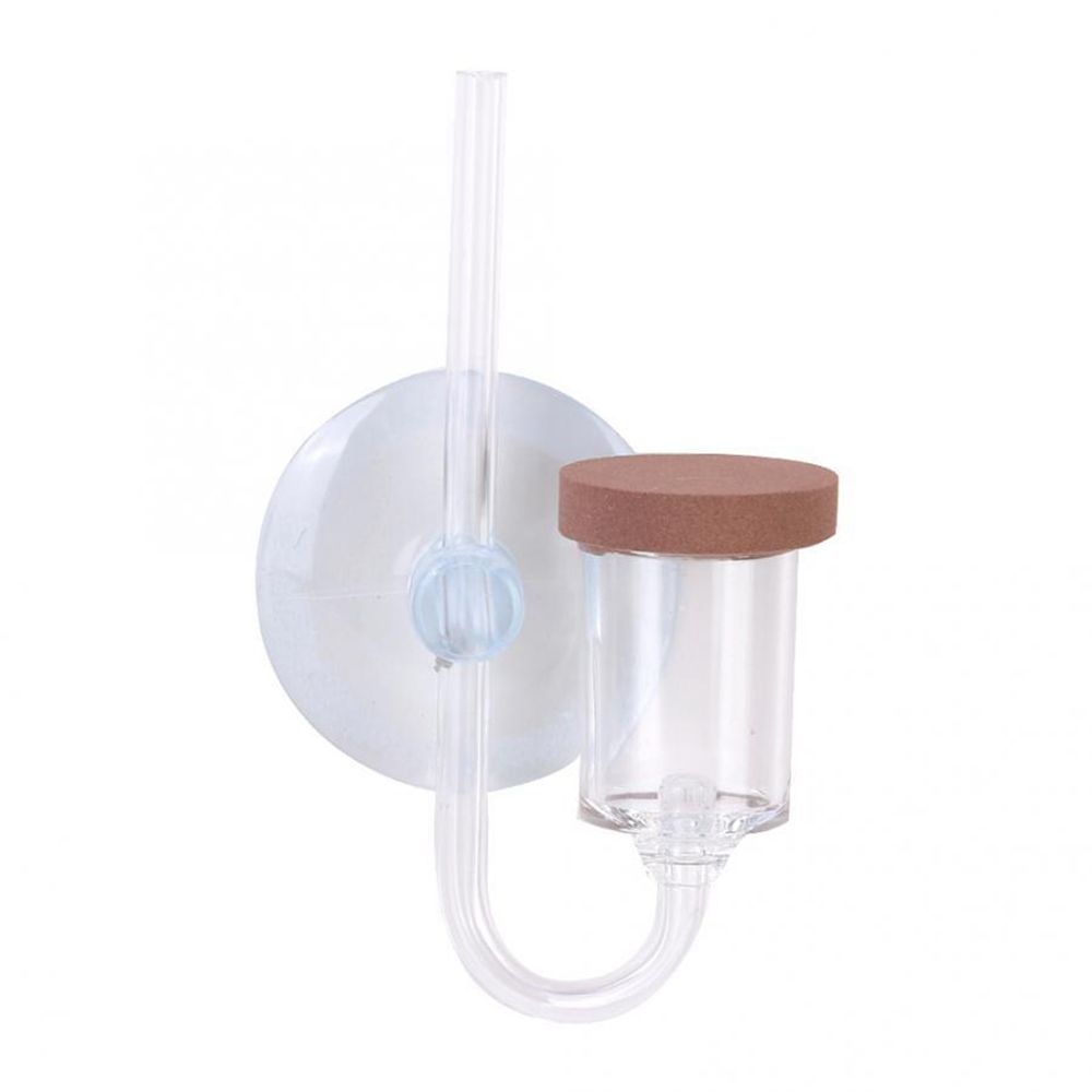 Akuarium Mini Akrilik Tanaman  - Aquarium Fish To Buy ulasan dan harga