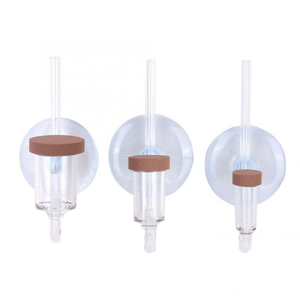 Akuarium Mini Akrilik Tanaman  - Aquarium Fish To Buy ulasan dan harga