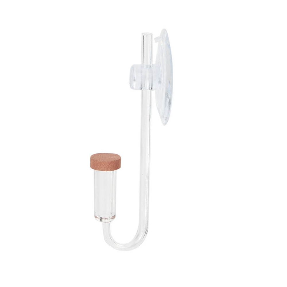 Akuarium Mini Akrilik Tanaman  - Aquarium Fish To Buy ulasan dan harga