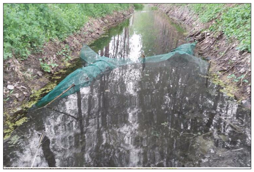 Jaring Pancing Gillnet Lempar  - Aquarium Fish Trap ulasan dan harga