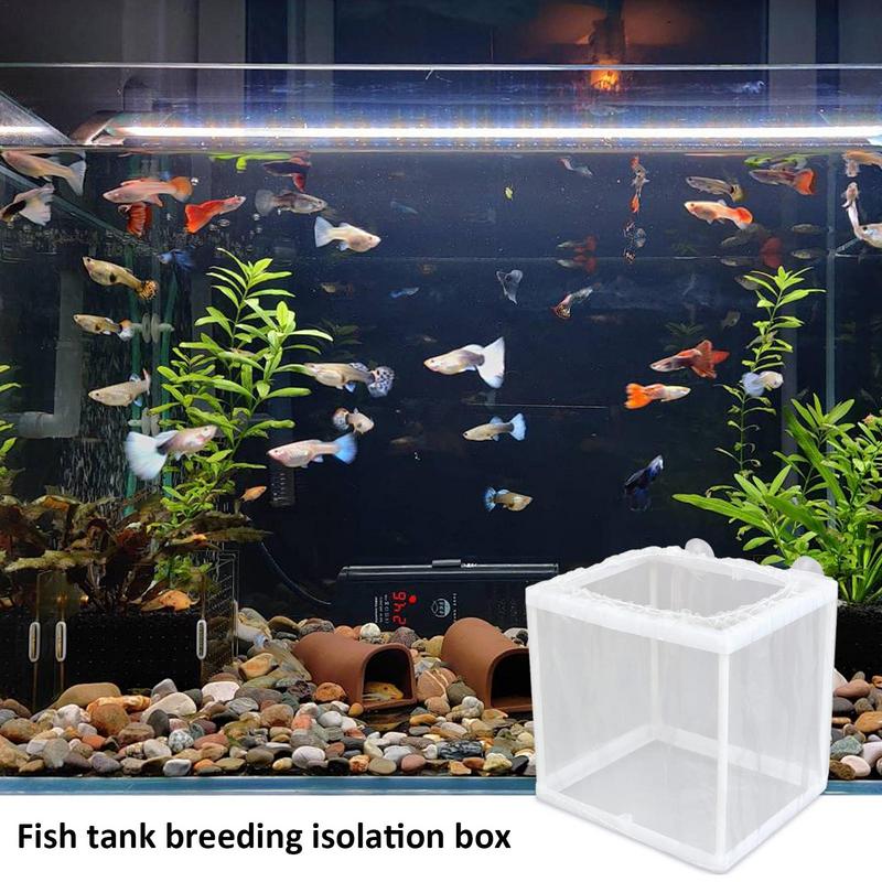 Kotak peternak ikan dengan his - Aquarium Fish Medicine ulasan dan harga