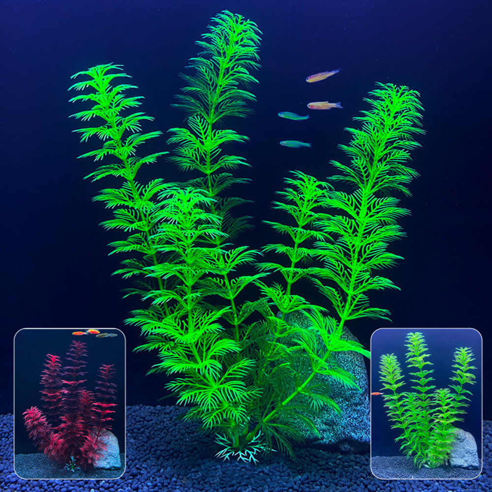 14cm - 30cm Tanaman Akuarium P - Aquarium Fish Photography ulasan dan harga