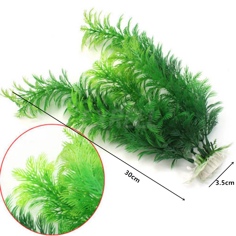 14cm - 30cm Tanaman Akuarium P - Aquarium Fish Photography ulasan dan harga