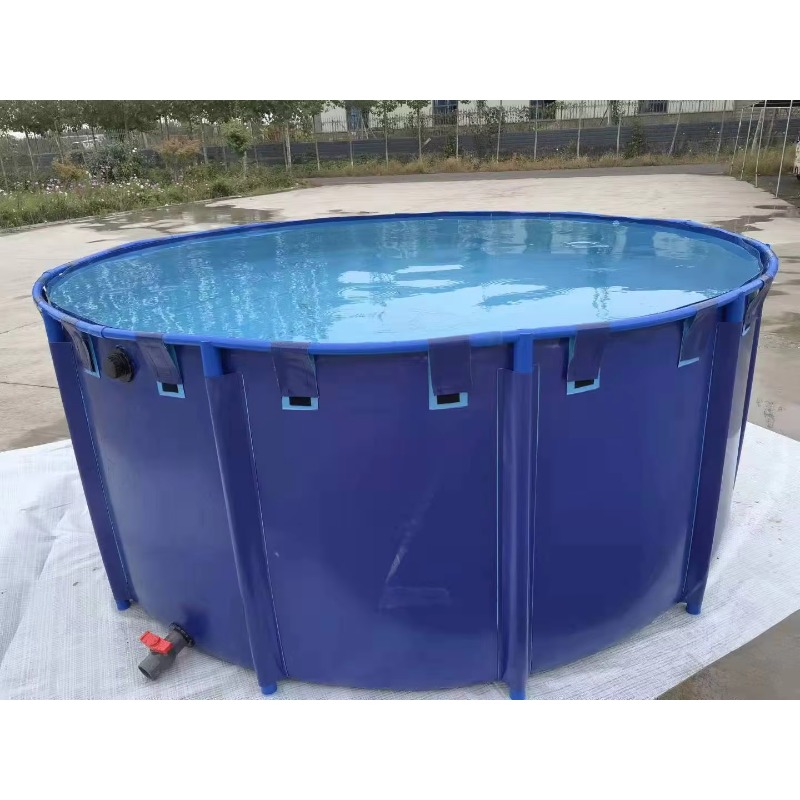 Kolam Ikan PVC Ukuran Besar un - Aquarium Fish Popular ulasan dan harga