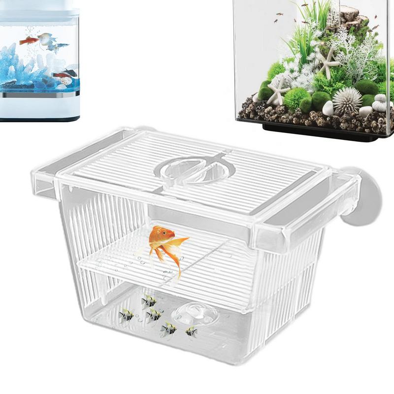 Kotak pemeliharaan ikan inkuba - Box Fish In Aquarium ulasan dan harga
