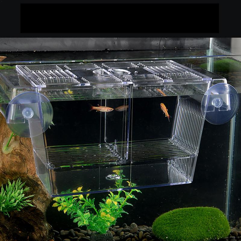 Kotak pemeliharaan ikan inkuba - Box Fish In Aquarium ulasan dan harga