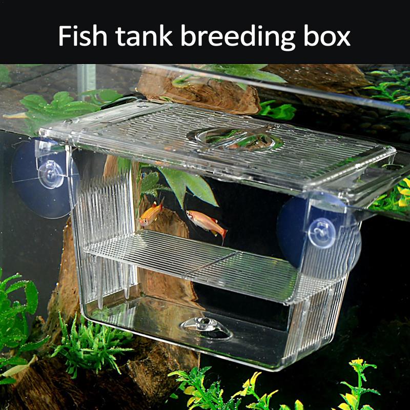 Kotak pemeliharaan ikan inkuba - Box Fish In Aquarium ulasan dan harga