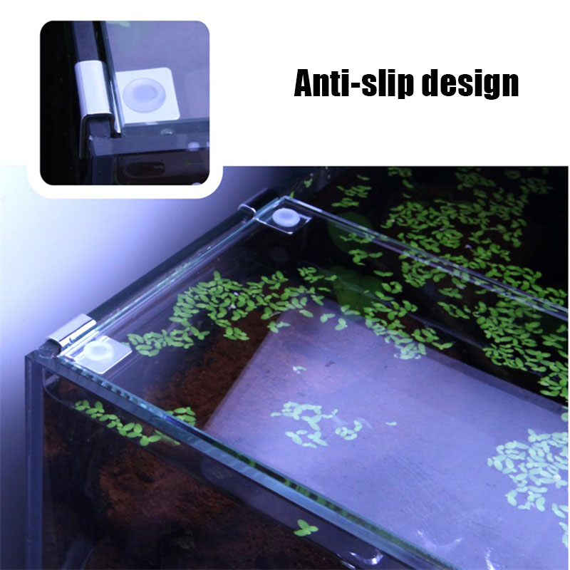 4 Buah Baja Tahan Karat Tangki - Aquarium Fish To Buy ulasan dan harga