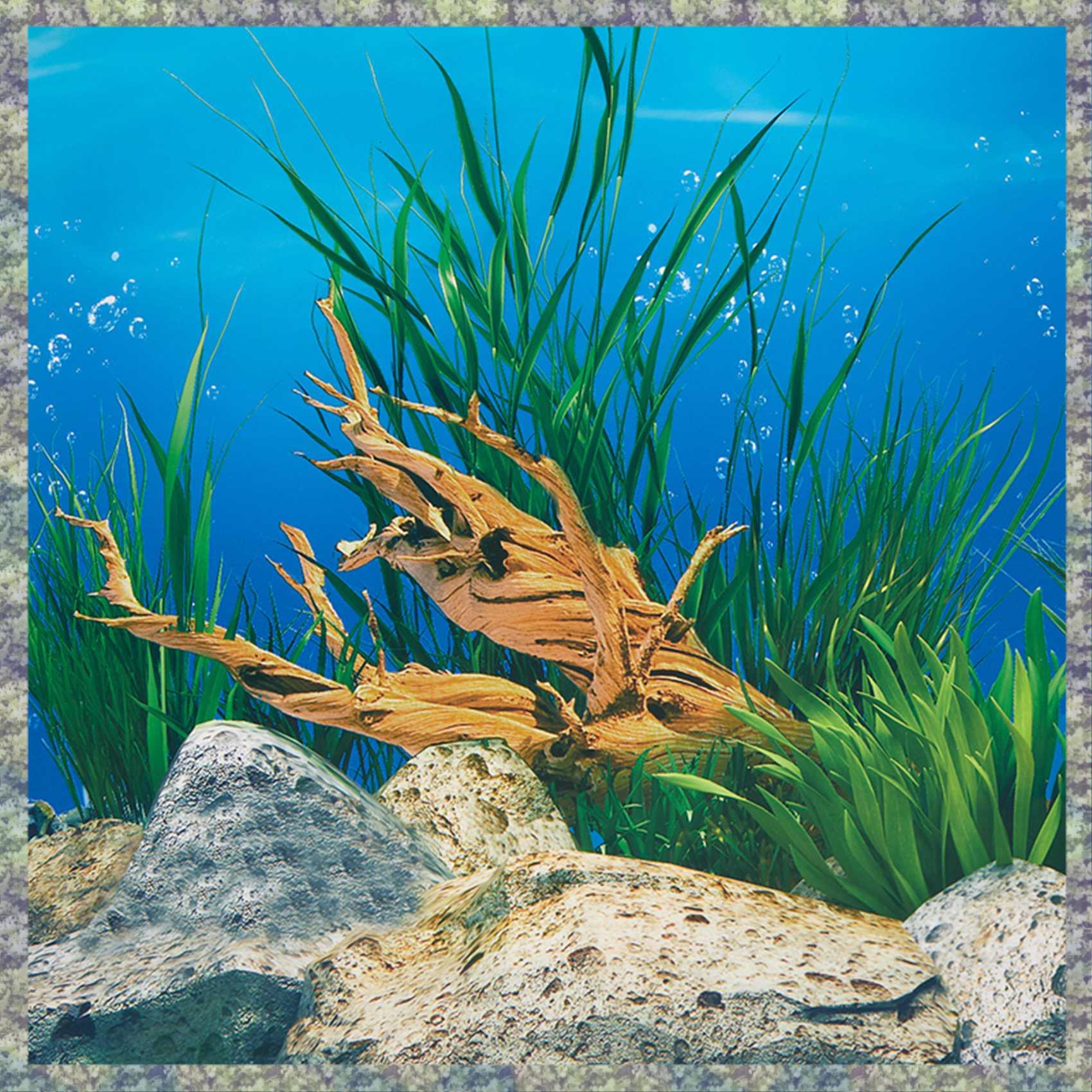 WON Kertas Latar Belakang Akua - Aquarium Fish Wallpaper Hd ulasan dan harga
