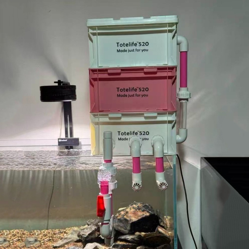 Kotak Filter Akuarium dengan P - Box Fish In Aquarium ulasan dan harga