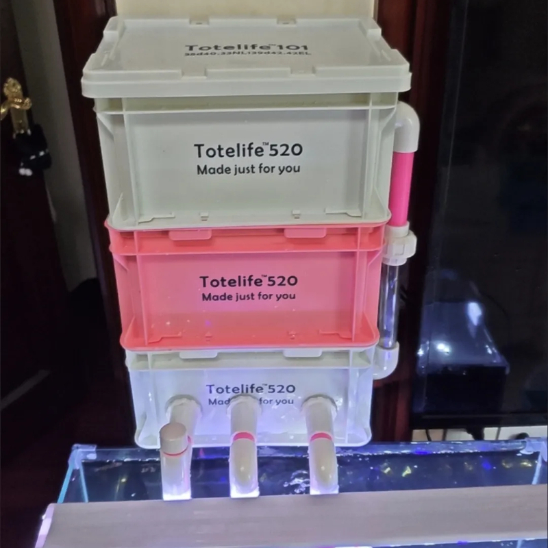 Kotak Filter Akuarium dengan P - Box Fish In Aquarium ulasan dan harga